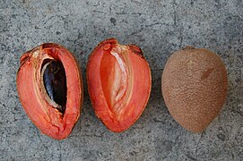 Pouteria sapota : sapote entière et en coupe longitudinale