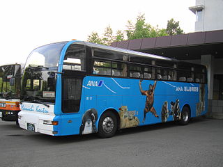 ANA Tour bus