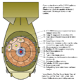 Fat Man diagram