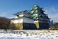 Nagoya Castle