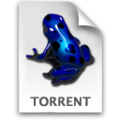 Torrent file