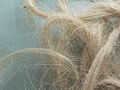 Flax fibers for plumber work