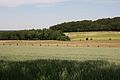 Landschaft am Grafenberger Weg