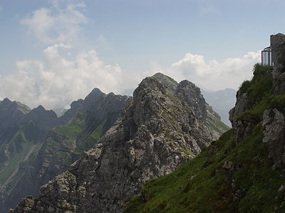 Westlicher Wengenkopf und Daumengruppe