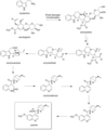 Quinine Biosynthesis