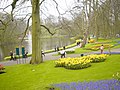 Keukenhof, Lisse