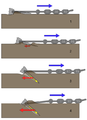 Stockless anchor bites bottom