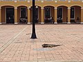 Iguana en la Antigua Aduana.