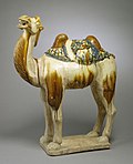 Chinese - Camel