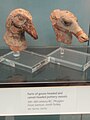 Parts of goose-headed and camel-headed Phrygian pottery vessels