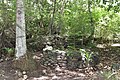 Ruines d'une indigoterie à Vieux-Habitants en Guadeloupe.