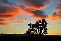 Unique clouds from high winds enhance this Silhouette