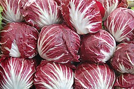 Radicchio di Chioggia