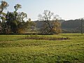 Auenlandschaft an der Lahn (Foto)