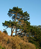 Big Sur, Monterey, California