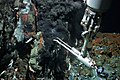 hydrothermal vents