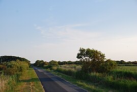 Wiesenlandschaft bei Borgsum.jpg