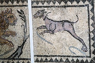 Mosaics of dogs