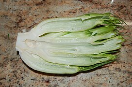 Cicoria puntarelle coupée