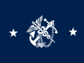 Flag of the Deputy Surgeon General of the United States