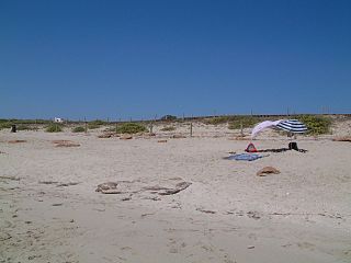 Platja de Migjorn