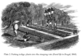 1860 - Indigoterie Bengale.
