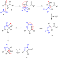 Knorr-Pyrazol reaction