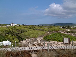 Dunes de Migjorn