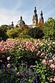 Der Dahliengarten, Fulda (Germany)