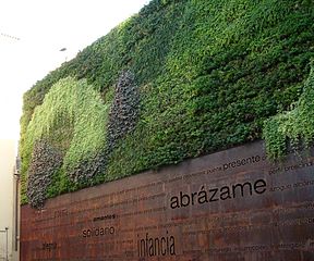 Vertical garden