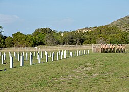 Memorial Day at GTMO DVIDS285644.jpg