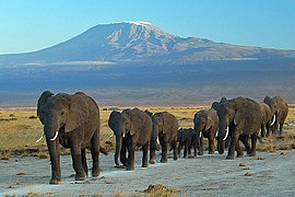 Mount Kilimanjaro (Tanzania)