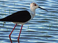 Albufera de Valencia, Spain