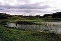 Meijendel waterbron Meijendel waterspring