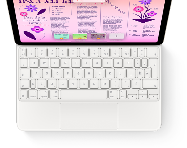 Vue en plongée d’un Magic Keyboard attaché à iPad Pro.
