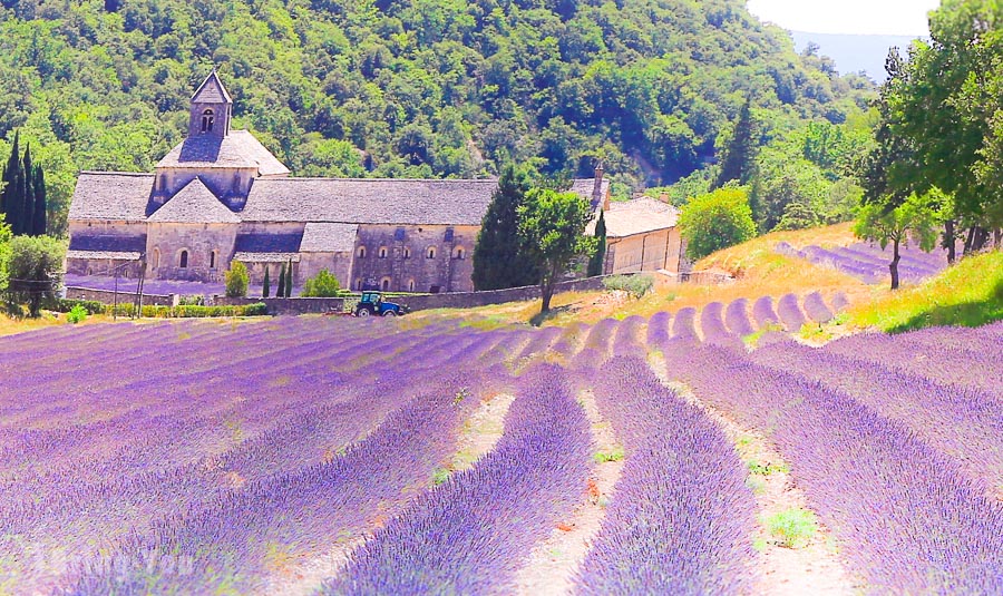 【南法自由行】普羅旺斯薰衣草路線自助全攻略：南法旅遊景點、交通、花期、住宿推薦