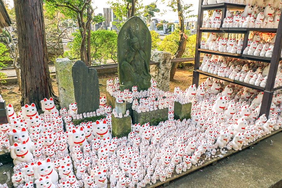 【東京招財貓發祥地】豪德寺：上千隻招財貓排排坐超萌