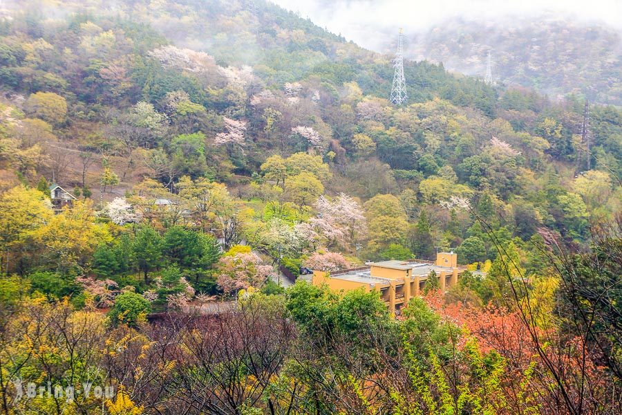 箱根周遊券