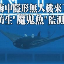 曾去南海出任務!海中隱形無人機「仿蝠鱝柔體潛水器」來了~告訴你這條「魚」有多神奇?｜360°今日大陸