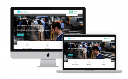 MultiPurpose Zymphonies Theme