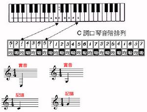 音樂表演