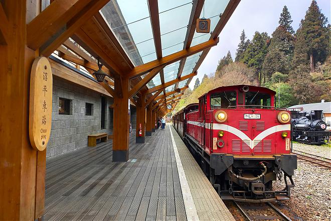 阿里山小火車X祝山線日出二日行程｜入住阿里山園區