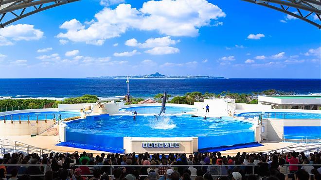 那霸.北谷出發|沖繩北部一日遊｜美麗海水族館.古宇利島(中文導遊)