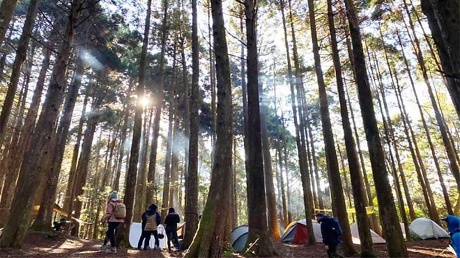 新竹高島縱走。高台山連走島田山一日｜迷霧森林