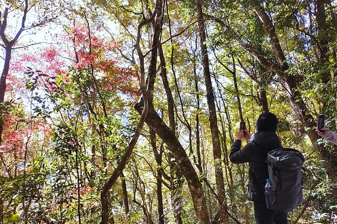 新竹霞喀羅古道二日野營團｜台北／新竹出發