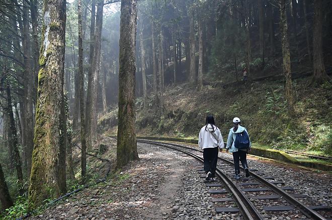 阿里山眠月線一日單攻 | 消失的森林鐵道秘境