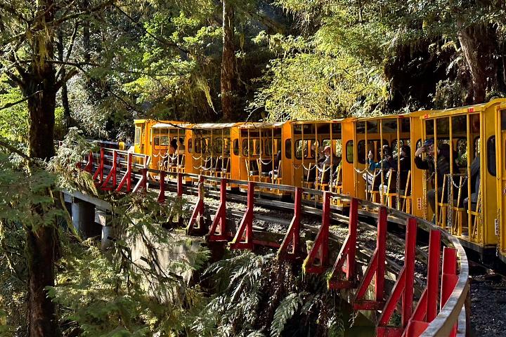 太平山森態二日遊｜蹦蹦車．寂靜山徑．入住太平山莊