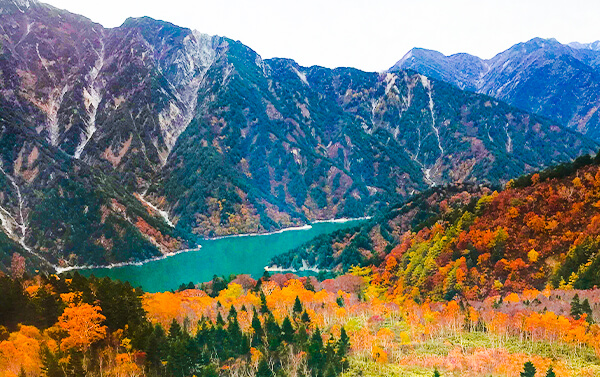 秋季賞楓~立山黑部上高地合掌村五日(JX/OD)