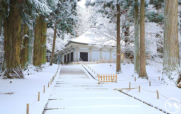 雪花飛舞東北奧入瀨溪溫泉美食五日(JX/BR)