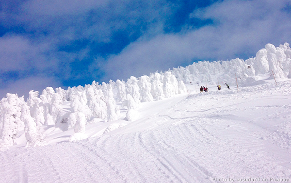 東北藏王樹冰百萬雪怪絕景+百選溫泉五日(JX)